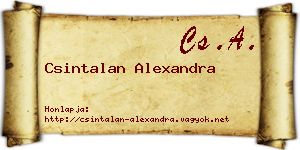 Csintalan Alexandra névjegykártya